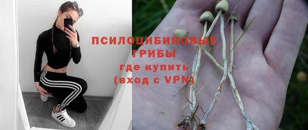 spice Куйбышев
