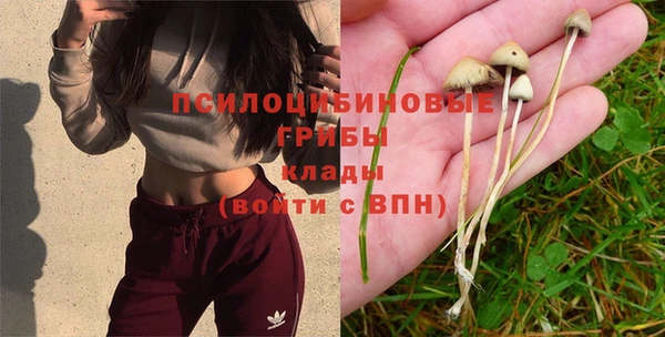 spice Куйбышев
