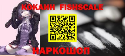 шишки Гагарин