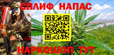 тгк Гатчина