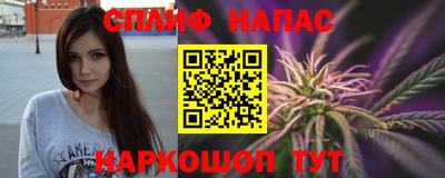 дурь Камышлов