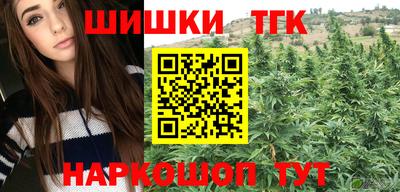 шишки Гагарин