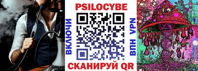 Галлюциногенные грибы Psilocybe  купить  цена  Шебекино 