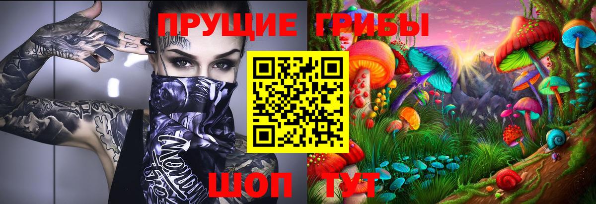 Галлюциногенные грибы Psilocybine cubensis Шебекино