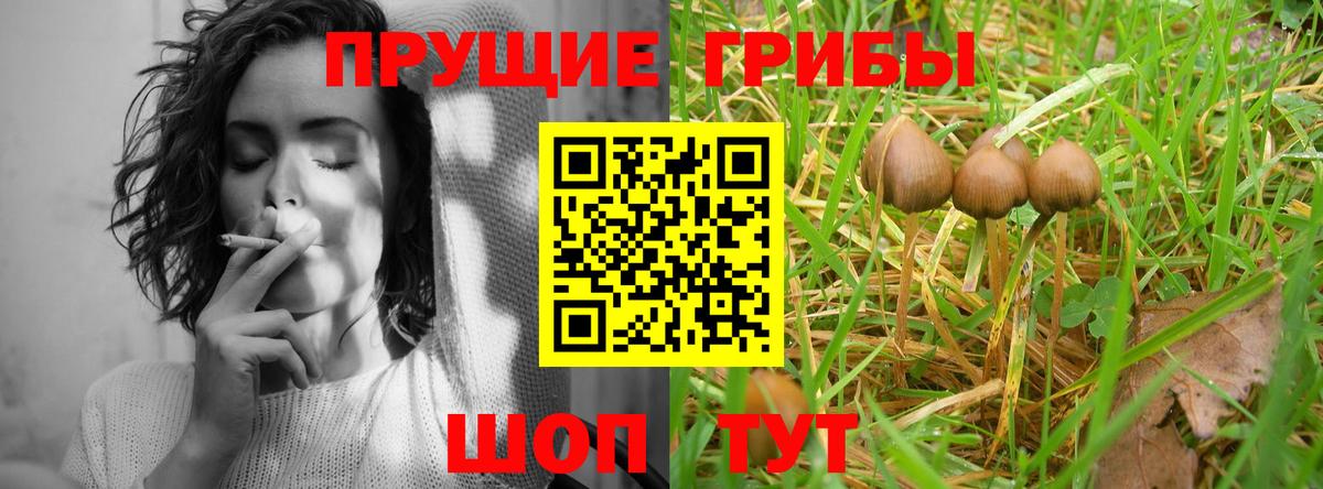 Шебекино  Галлюциногенные грибы прущие грибы  Галлюциногенные грибы ЛСД  купить   Вход с VPN 
